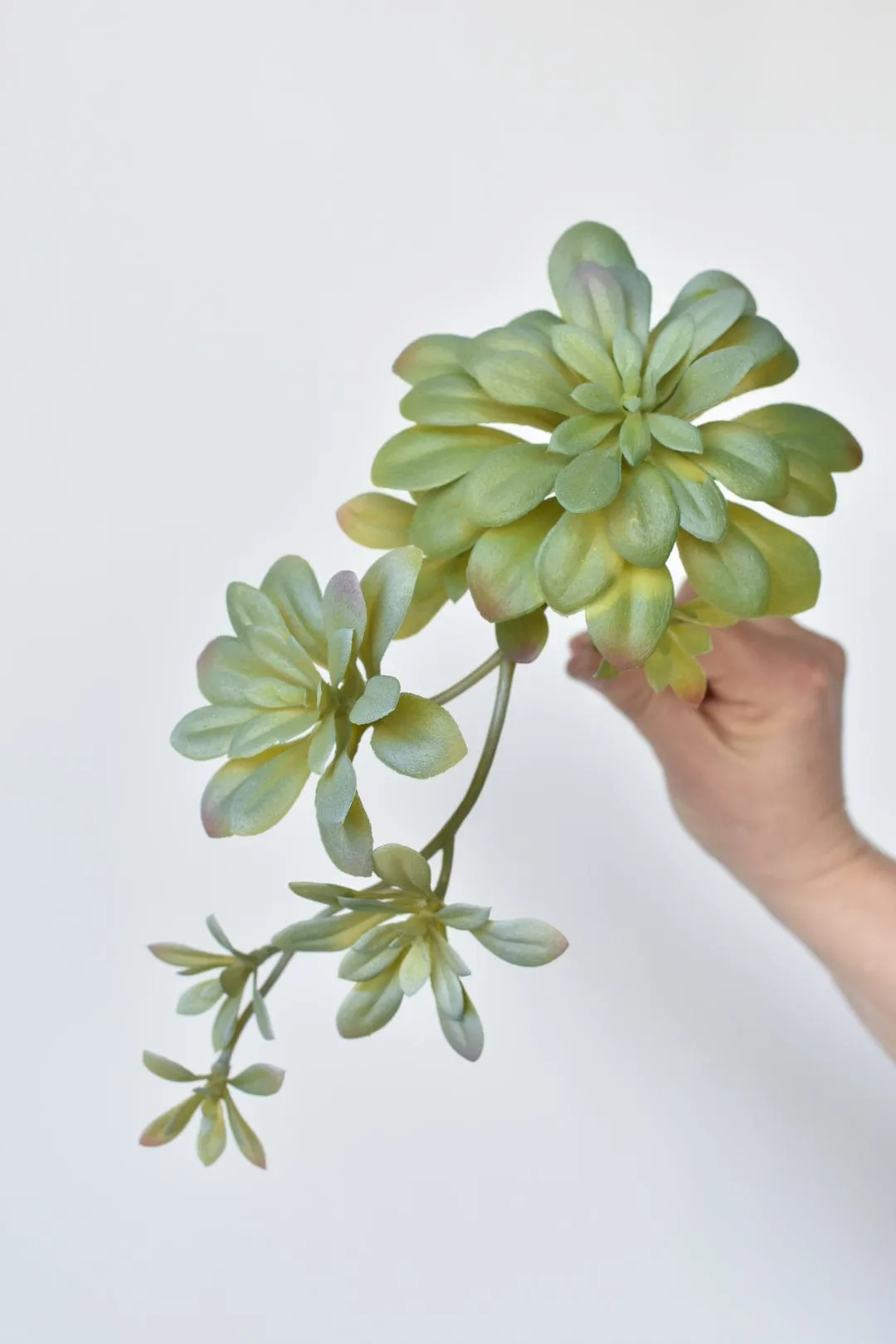 11.5" Faux Trailing Soft Aeonium Spray Stem