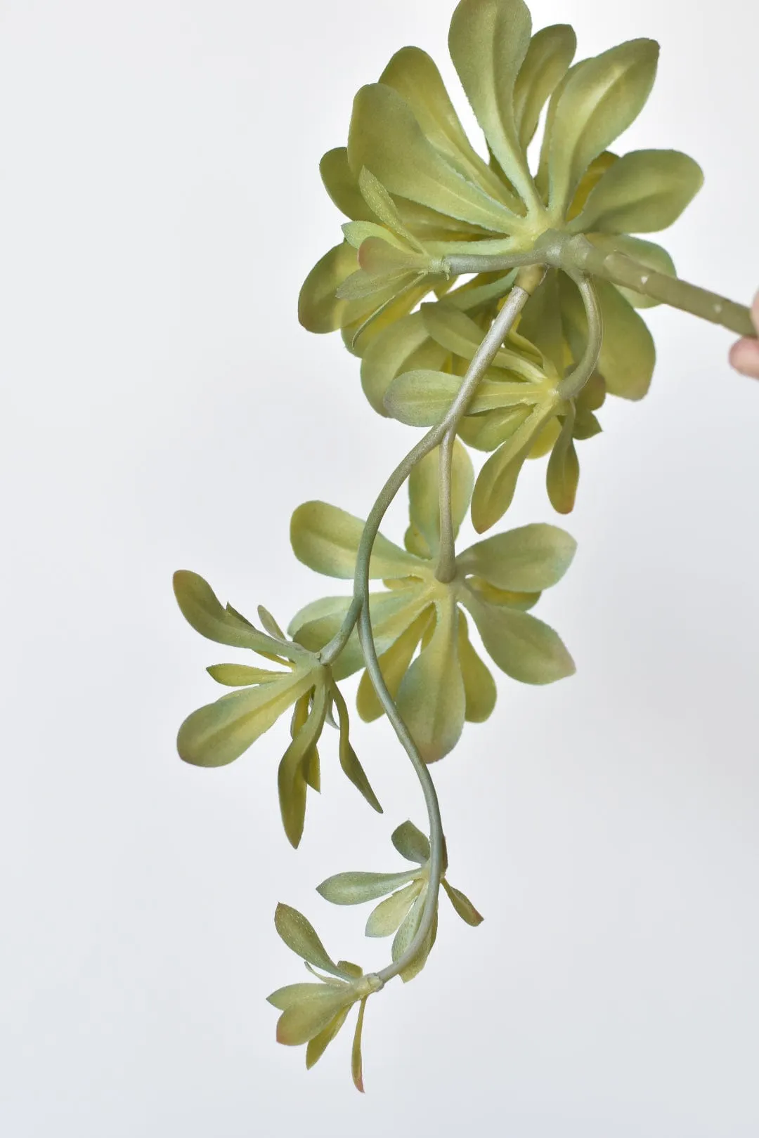 11.5" Faux Trailing Soft Aeonium Spray Stem