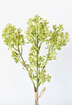 14" Faux Green Sedum Bundle (3 Stems)