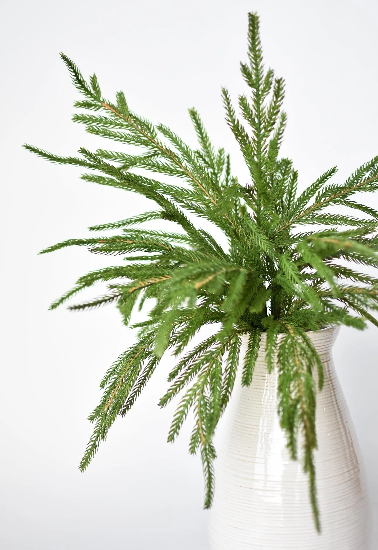 20" Faux Green Norfolk Pine Bush