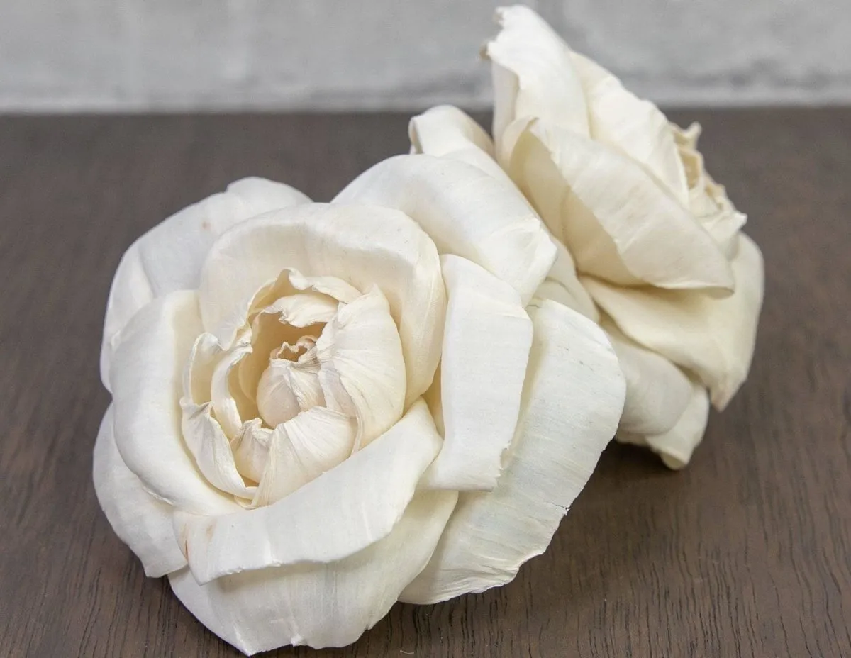 3" Ravishing Rose (10 Pack)