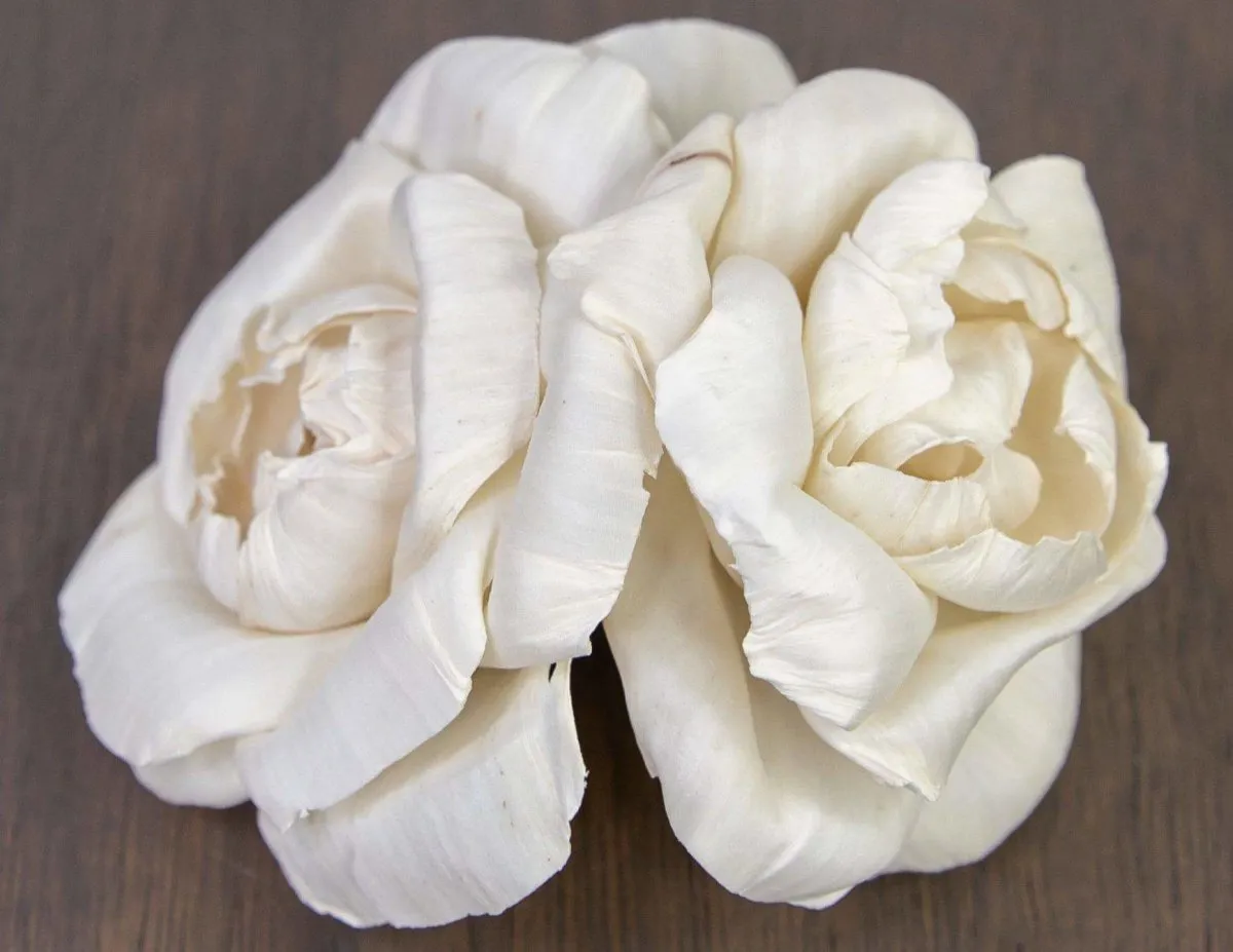 3" Ravishing Rose (10 Pack)