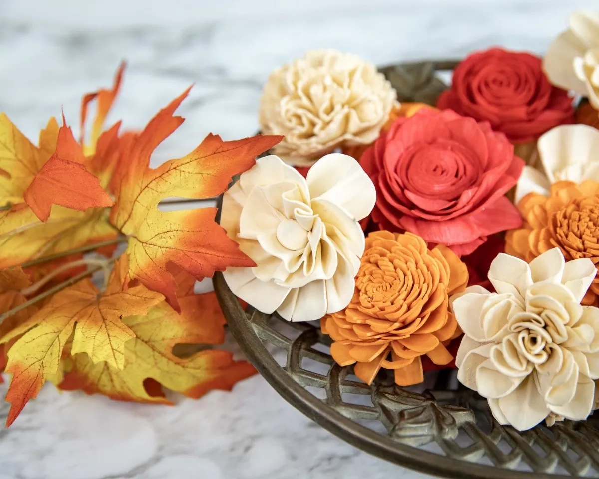 Autumn Leaves Assortment