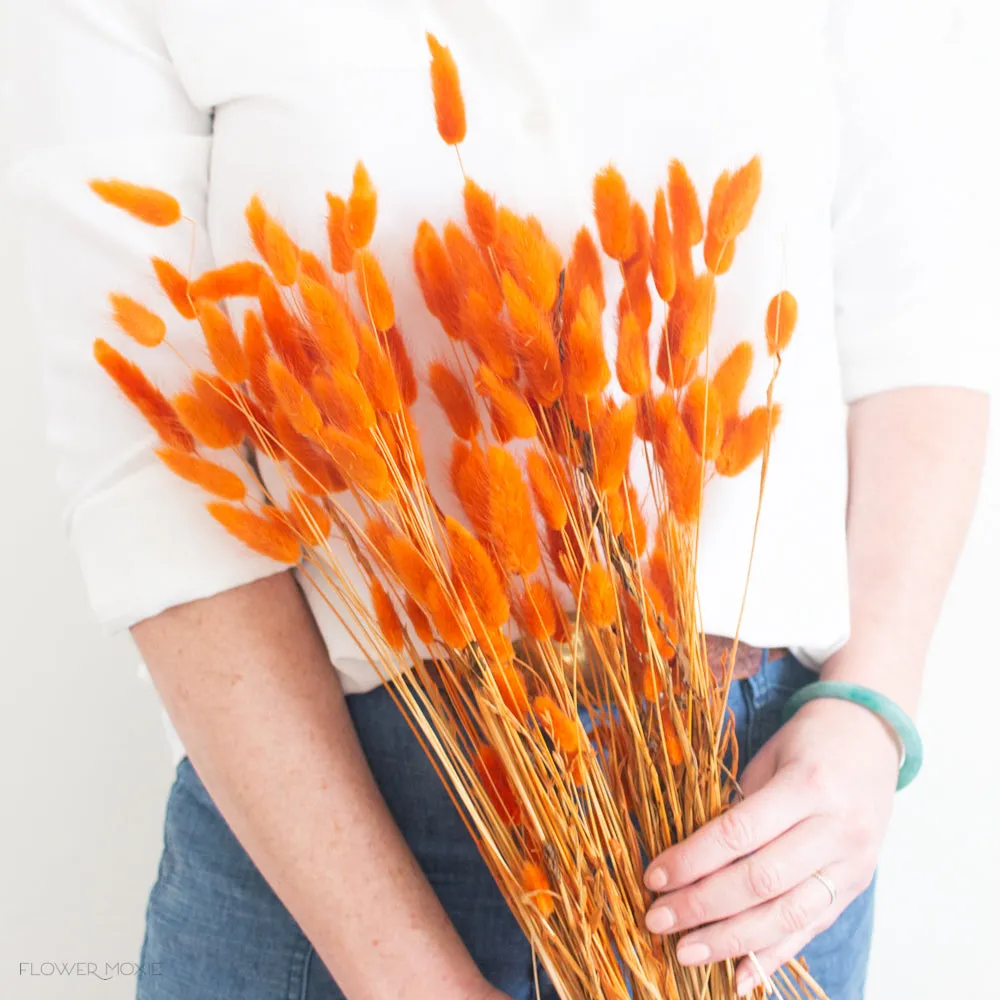 Carrot Orange Dried Bunny Tail Grass