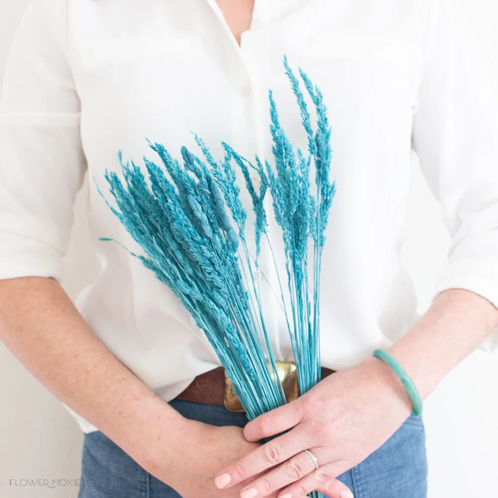 Dried Blue Andes Grass