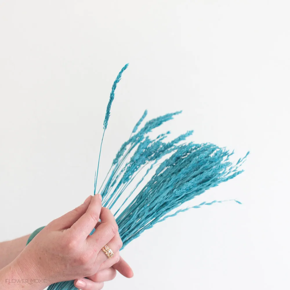 Dried Blue Andes Grass