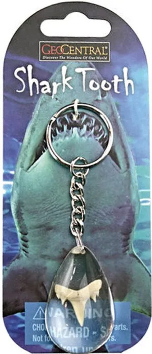 GeoCentral Shark Tooth Keychain