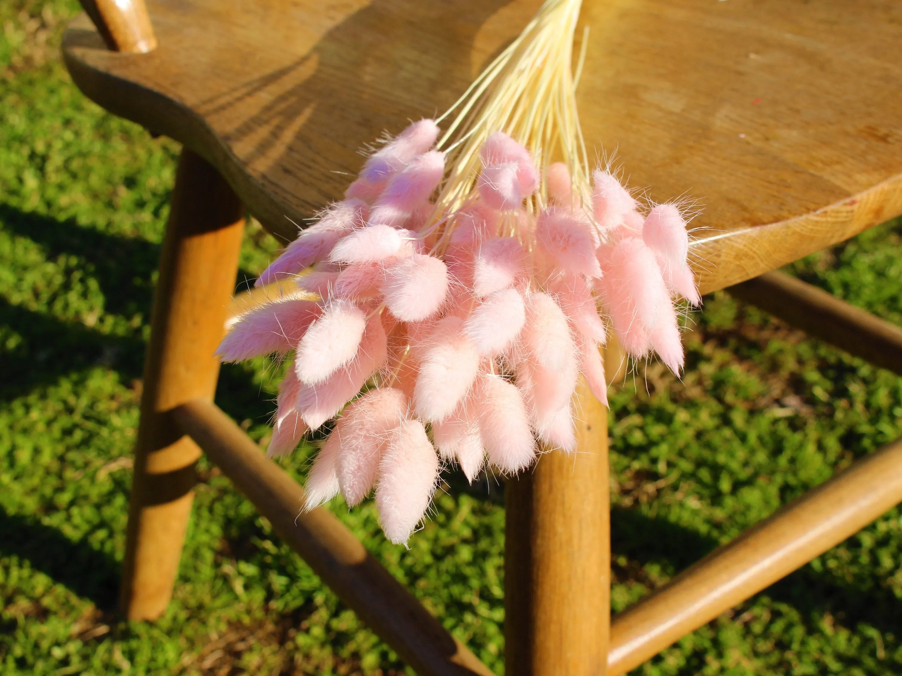 Natural Brown Bunny Tails/ Rabbit Tails- Choose Your Color