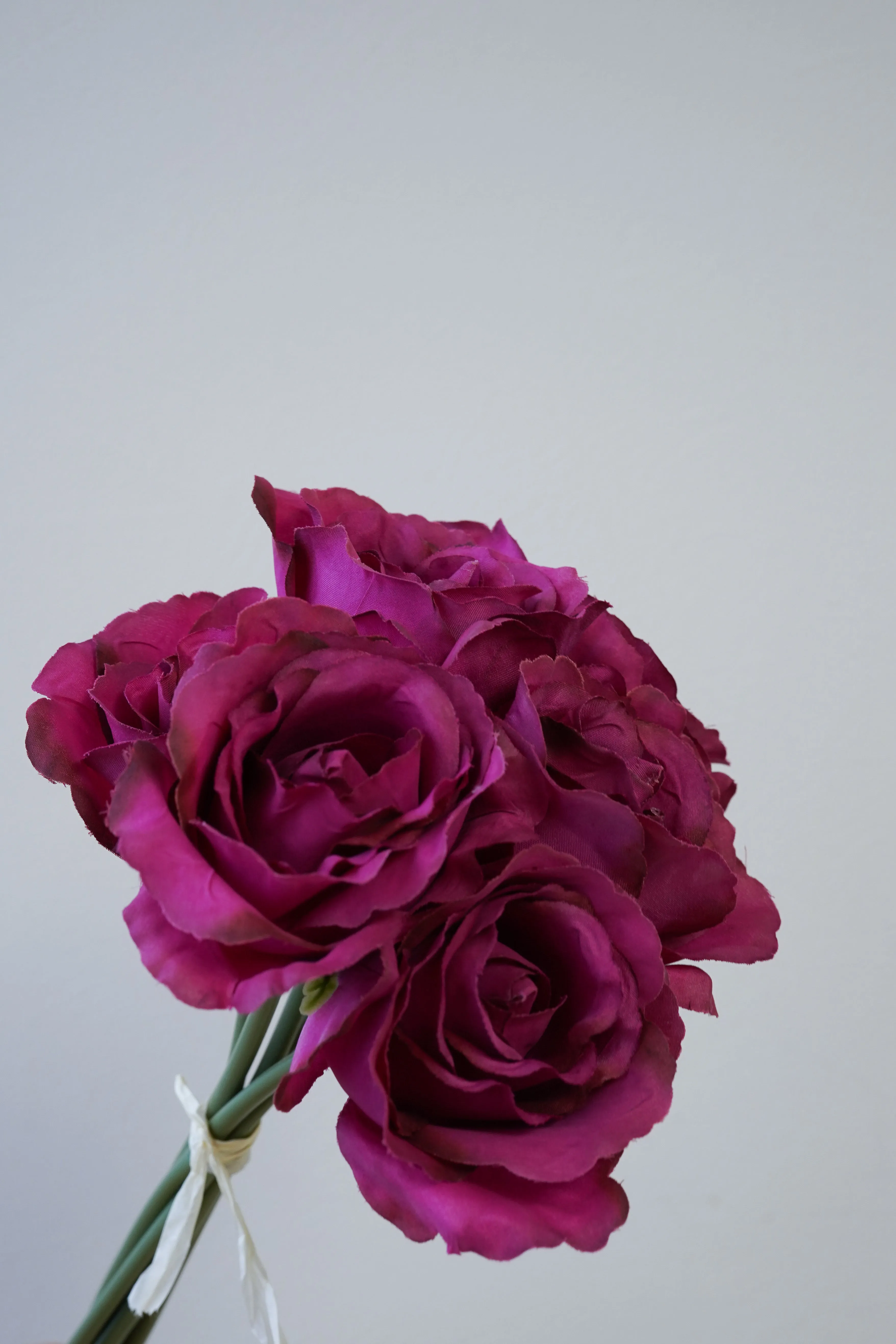 Open Rose Bundle - 7 Stems (Cerise)