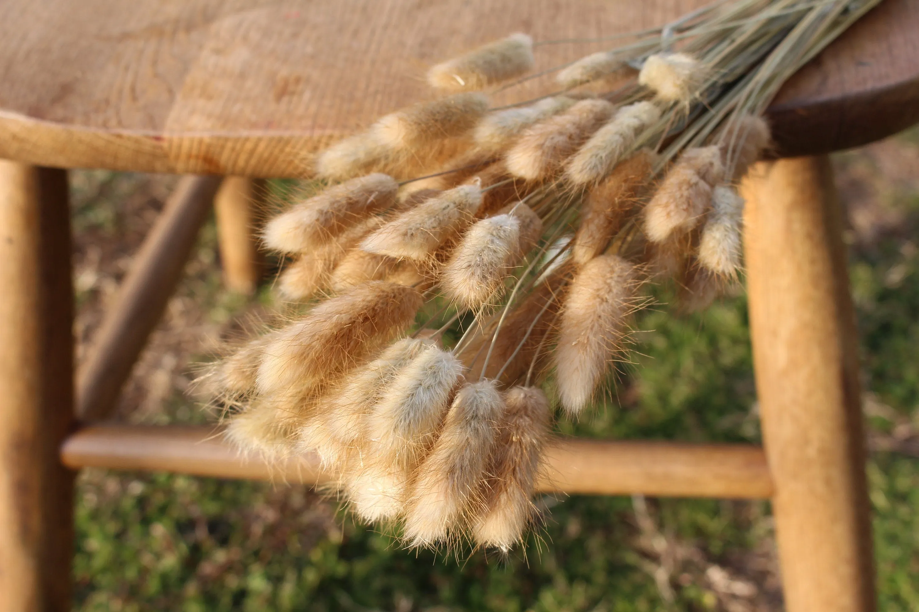 Pink Bunny Tails/ Rabbit Tails