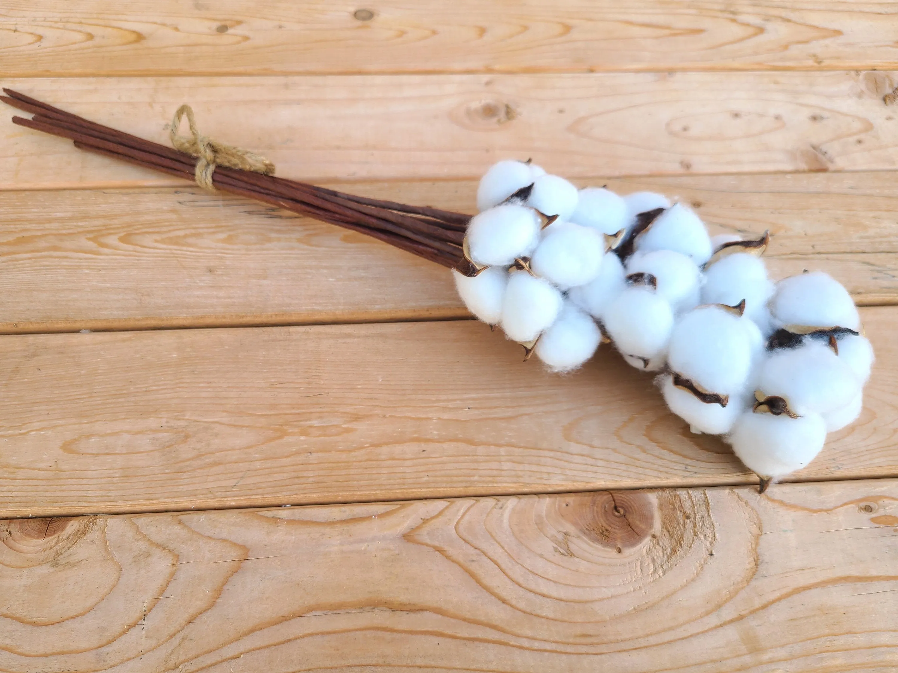 Raw Cotton Stems Bouquet, Cotton Balls