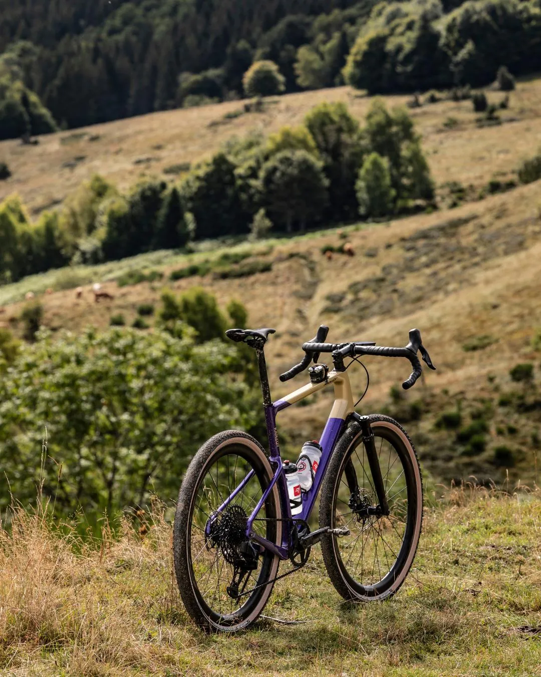 Ridley Kanzo Adventure Gravel Bike